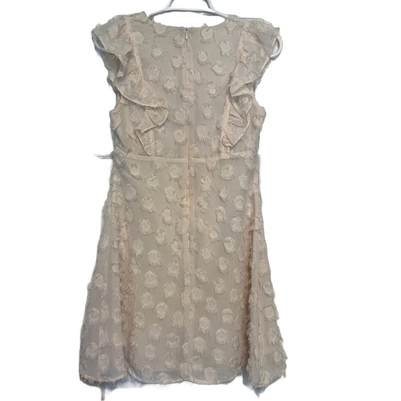 Altar’d State Mini Dress V-Neck, Ruffled cap sleeves 3D effect Women’s Size S - Picture 3 of 9